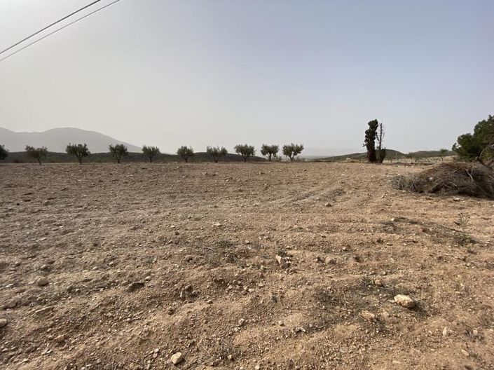 Image No.3-Property for sale