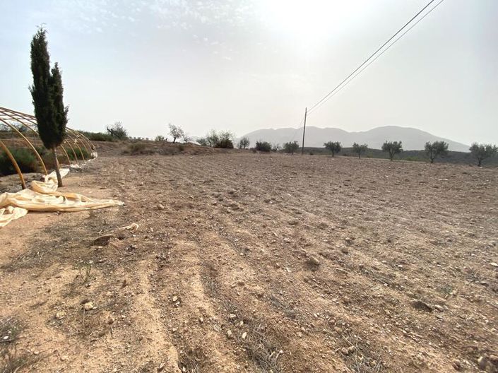 Image No.5-Property for sale