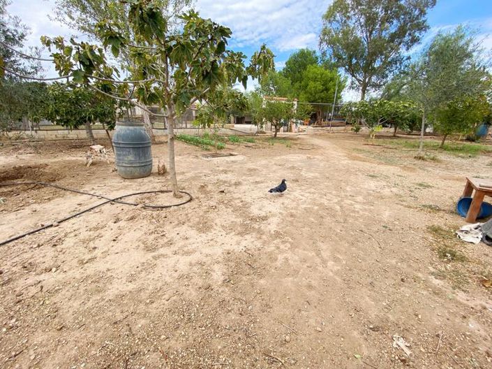 Image No.26-3 Bed Villa for sale