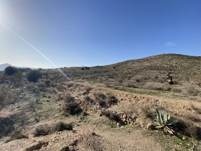 Image No.6-Property for sale