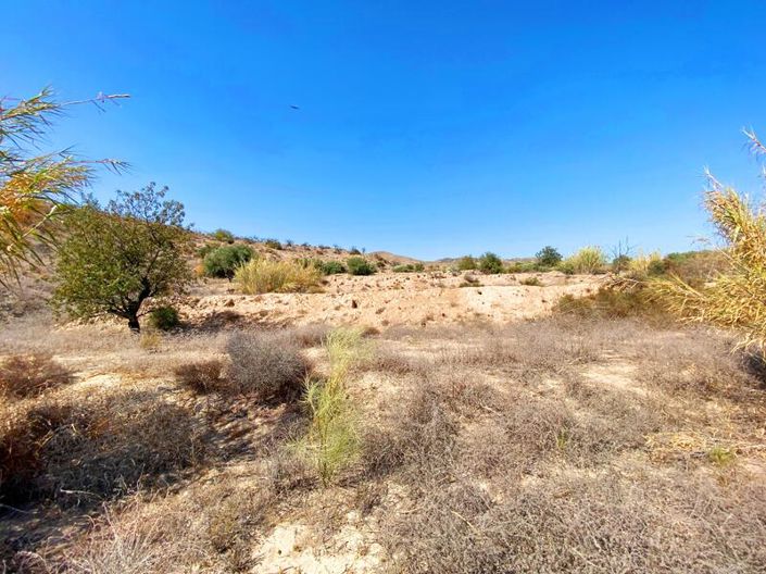 Image No.3-Property for sale