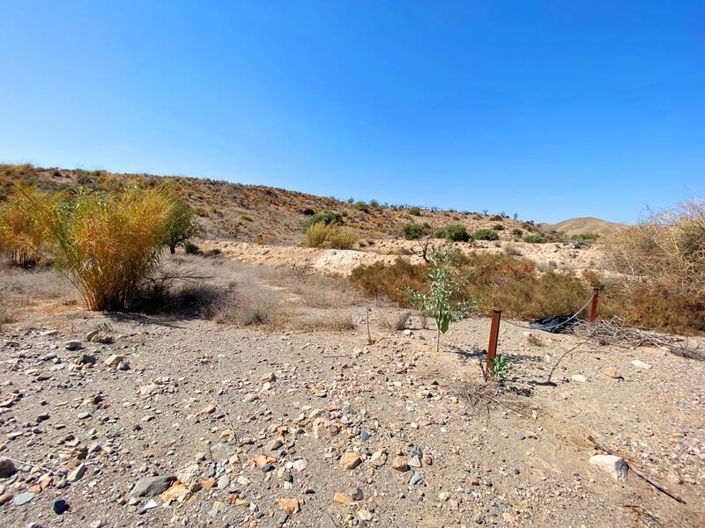 Image No.6-Property for sale