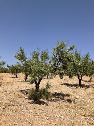 Image No.17-4 Bed Property for sale