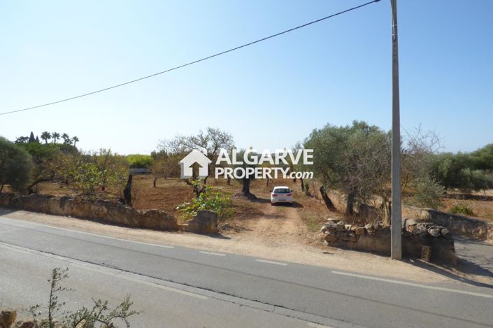 Image No.4-Land for sale