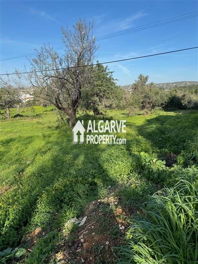 Image No.2-Land for sale