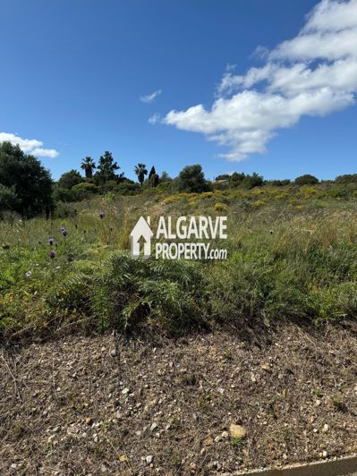 Image No.11-Land for sale