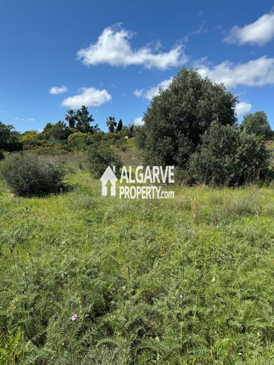 Image No.3-Land for sale