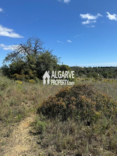 Image No.5-Land for sale