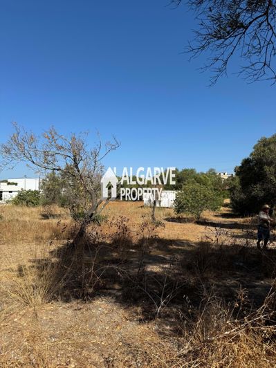 Image No.8-Land for sale