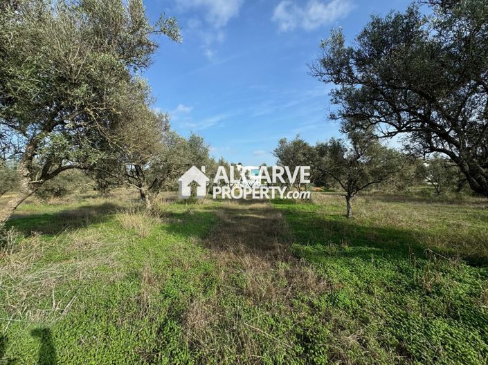 Image No.15-Land for sale