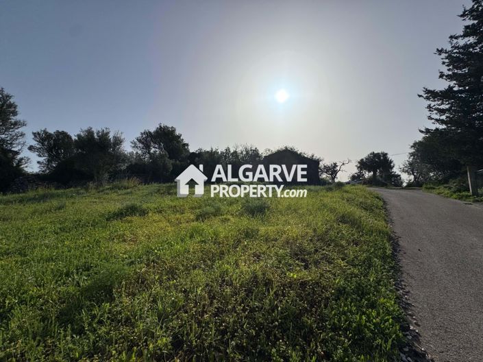 Image No.1-Land for sale