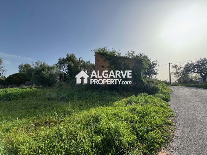 Image No.2-Land for sale