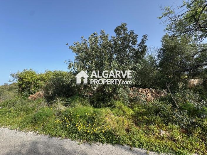 Image No.6-Land for sale