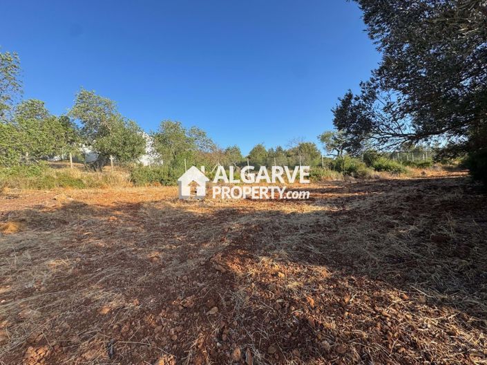 Image No.1-Land for sale