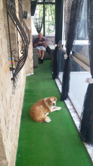 Image No.36-4 Bed House for sale