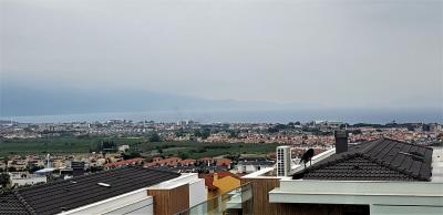 d538c54c-b5eb-44a6-9fea-1eca01948ec8