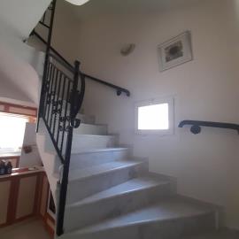 WhatsApp-Image-2022-08-22-at-12-48-49-PM