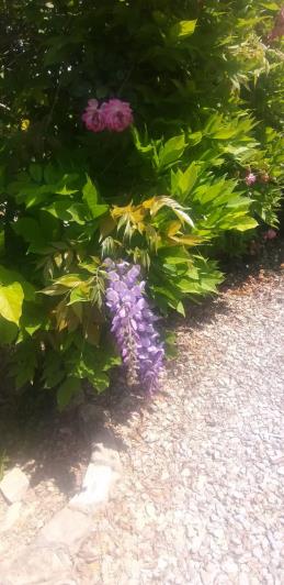 Image No.3-2 Bed Villa / Detached for sale