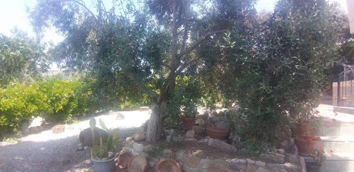 Image No.6-2 Bed Villa / Detached for sale