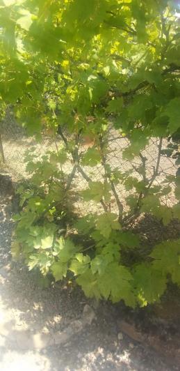 Image No.18-2 Bed Villa / Detached for sale