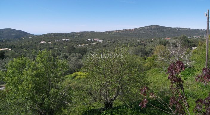 Image No.2-Plot for sale