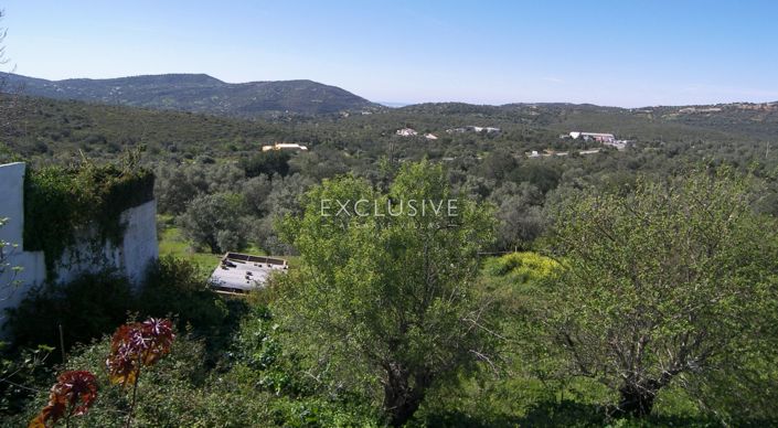 Image No.5-Plot for sale