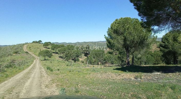 Image No.22-Plot for sale