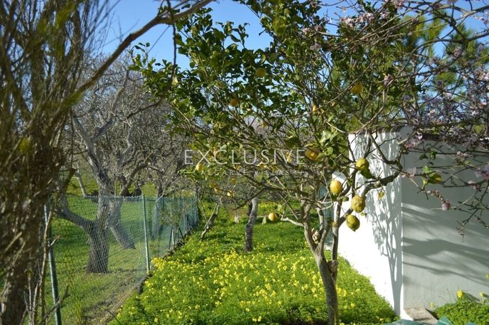 Image No.11-1 Bed Plot for sale