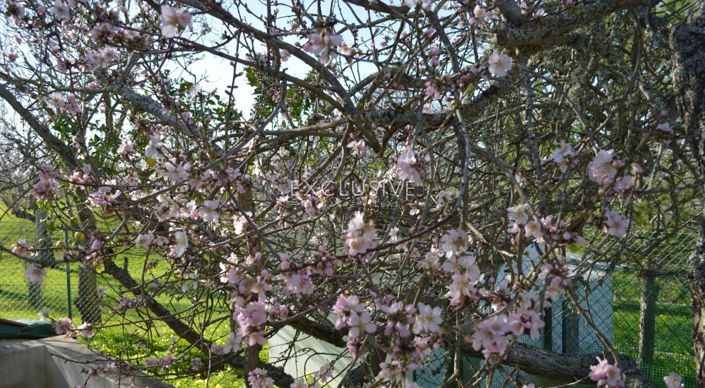 Image No.17-1 Bed Plot for sale