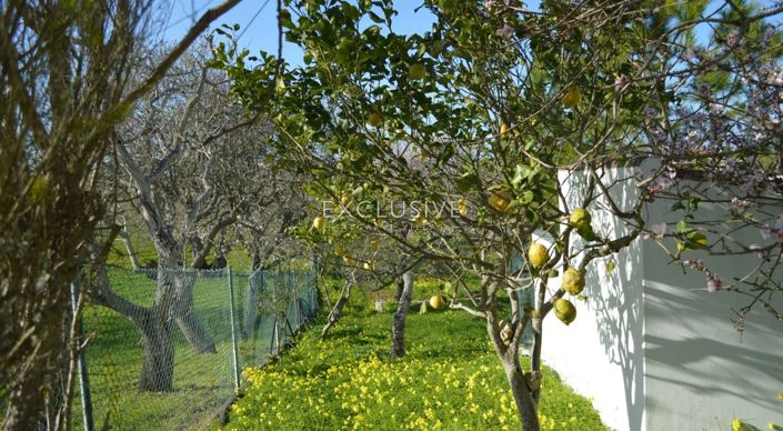 Image No.18-1 Bed Plot for sale