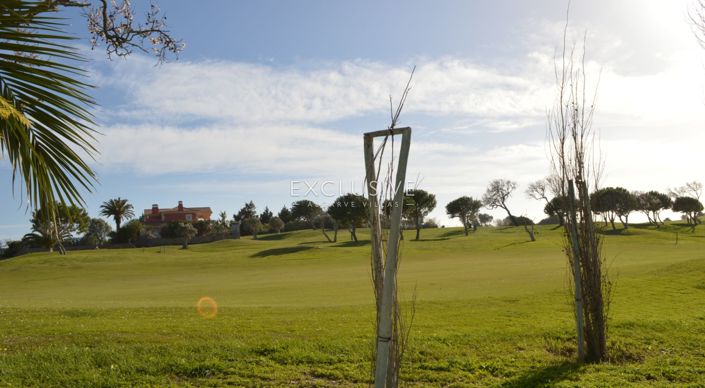 Image No.20-1 Bed Plot for sale