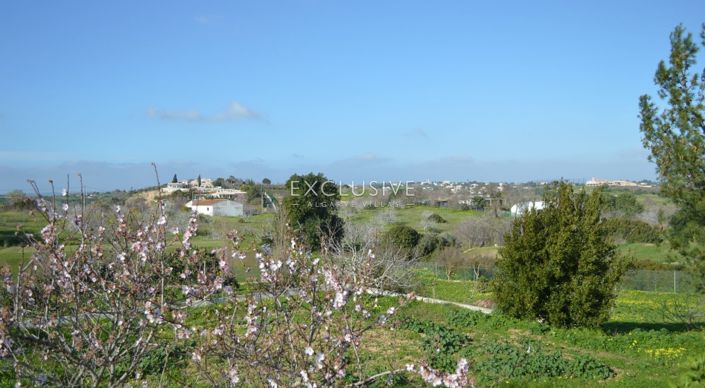 Image No.30-1 Bed Plot for sale