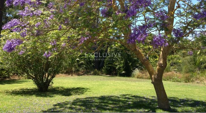 Image No.12-5 Bed Villa for sale