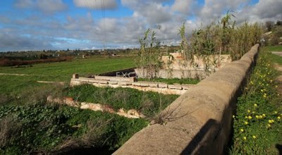 1 - Silves, Plot