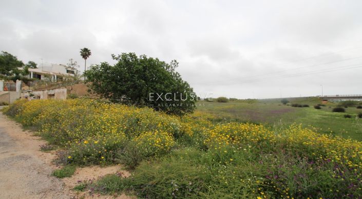 Image No.26-Plot for sale