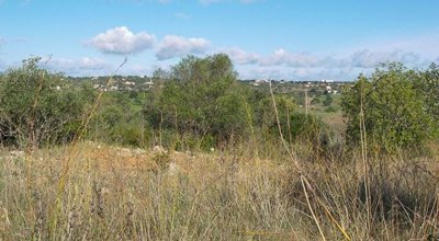 1 - Silves, Plot
