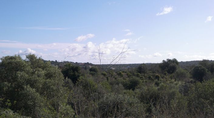 Image No.13-Plot for sale