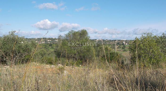 Image No.14-Plot for sale