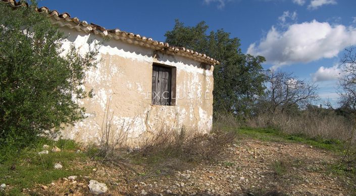 Image No.16-Plot for sale