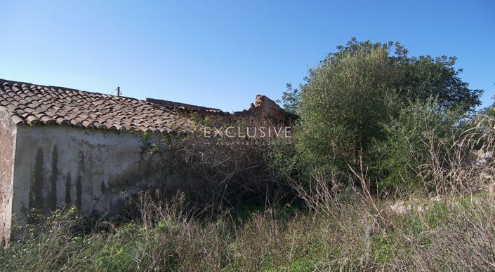 Image No.17-Plot for sale