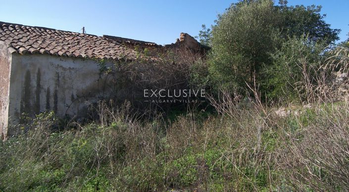 Image No.2-Plot for sale