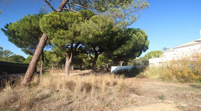 Image No.4-Plot for sale