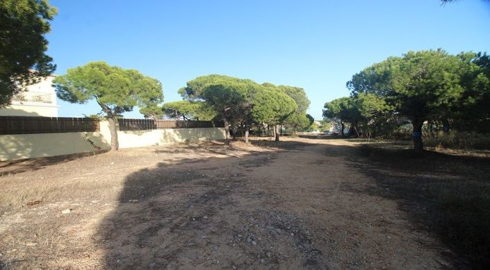 Image No.6-Plot for sale