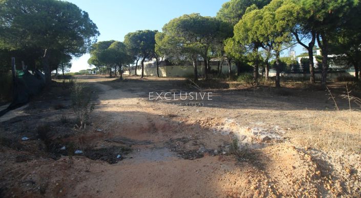 Image No.3-Plot for sale