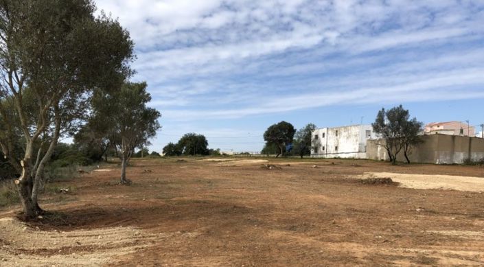 Image No.5-Plot for sale