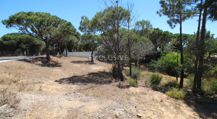 Image No.3-Plot for sale