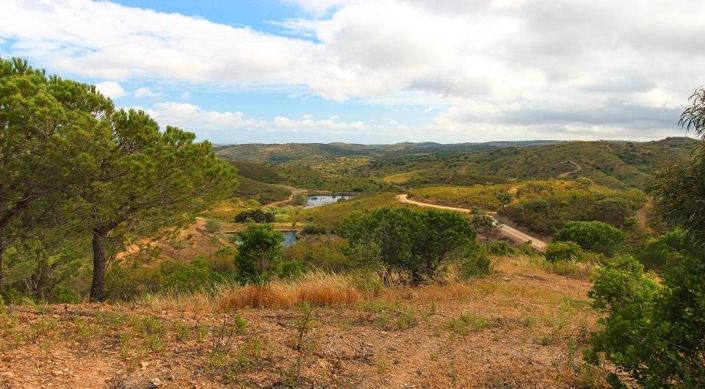 Image No.17-Plot for sale