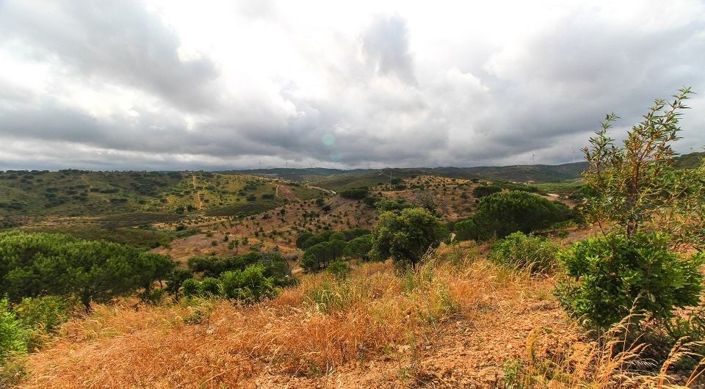 Image No.26-Plot for sale