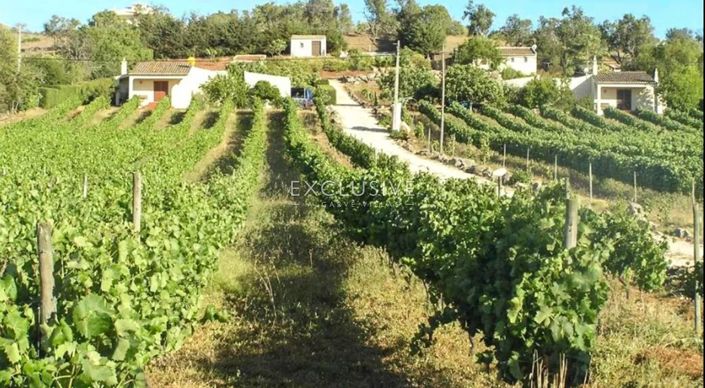 Image No.19-4 Bed Plot for sale