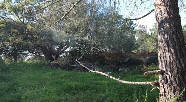 Image No.16-Plot for sale